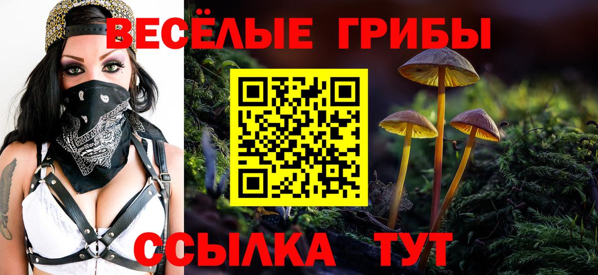 Галлюциногенные грибы Psilocybe  Вход с VPN  Советская Гавань 