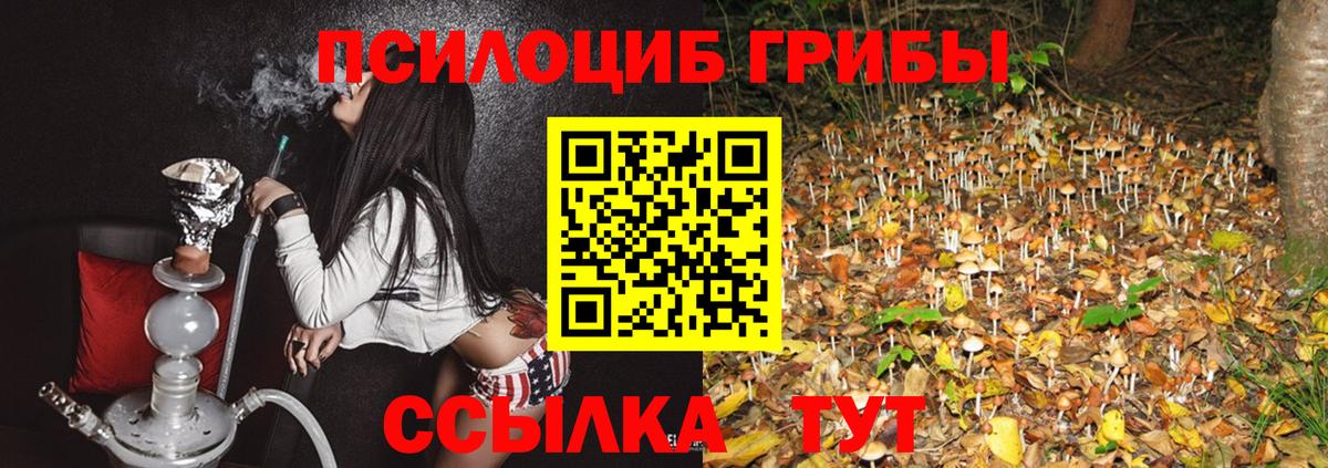 Псилоцибиновые грибы ЛСД Советская Гавань